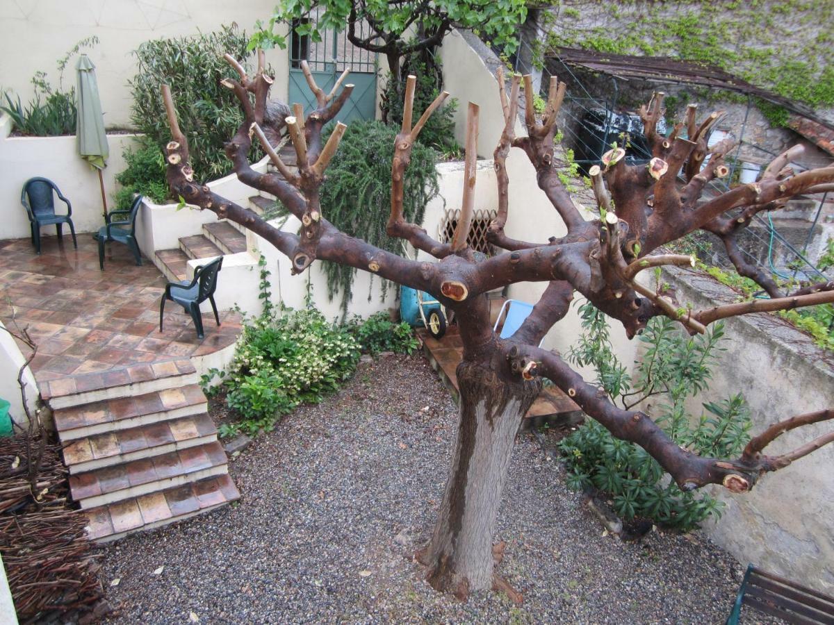 Villa 28 Rue de la Ferrage à Fayence Extérieur photo